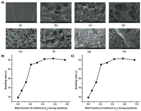 Tuning the Properties of PNIPAm-Based Hydrogel Scaffolds for Cartilage ...