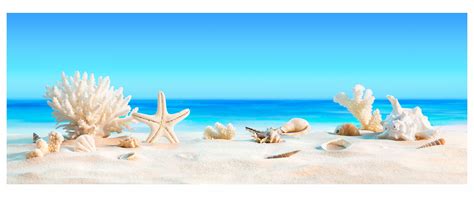 Dedeman Panou decorativ din sticla, pentru bucatarie / baie, DKEMG78 ...