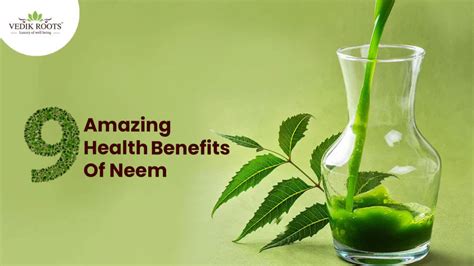 13 Top Amazing Benefits of Neem – Vedikroots