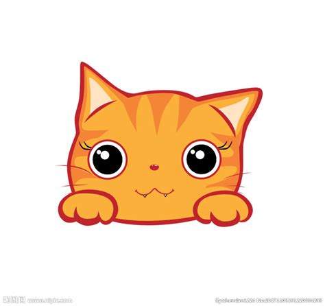 猫咪键盘图片-猫咪键盘图片素材免费下载-千库网