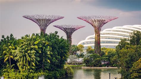 Thomson East Coast Line: Best Things To Do Along Singapore's MRT