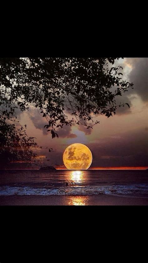 Image result for Beautiful Fall Moon
