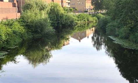 Ängelholm Tourism (2023): Best of Ängelholm, Sweden - Tripadvisor