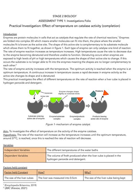 Enzyme Prac Report | Biology - Year 12 SACE | Thinkswap