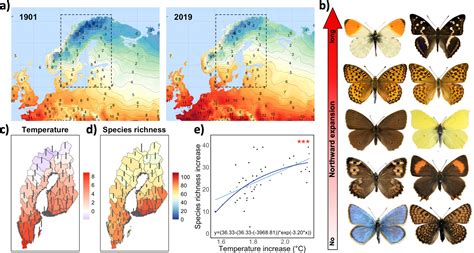 Climate change has increased diversity of butterflies in Sweden and Finland, may have major ...