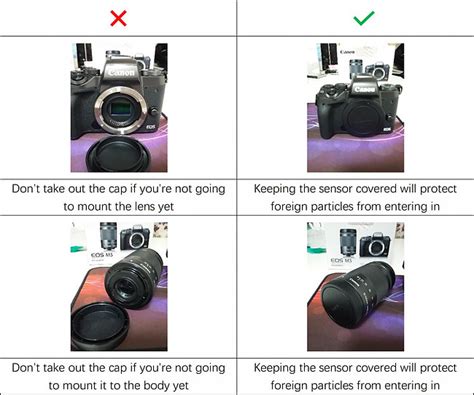 Image result for How to Use Mirrorless Camera