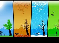 Image result for The Seasons of Life