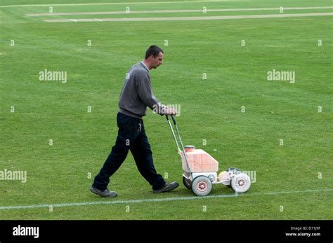 Man marking white line on cricket pitch boundary Stock Photo - Alamy