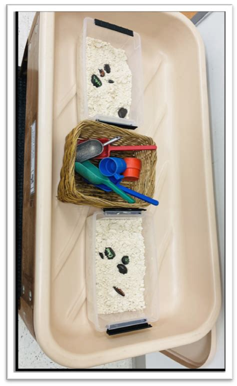 Image result for Infant Learning Environments