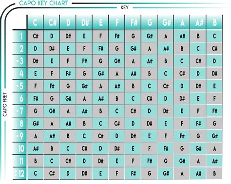 Capo Cheet Sheet Chart - Minimalist Chart Design