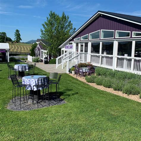 White Oak Lavender Farm in Harrisonburg, VA (With Photos)