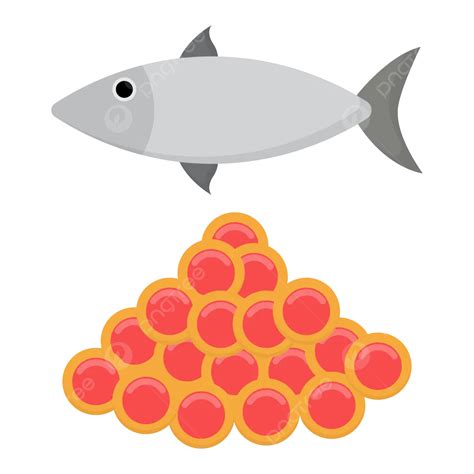 Transparent Fish Eggs