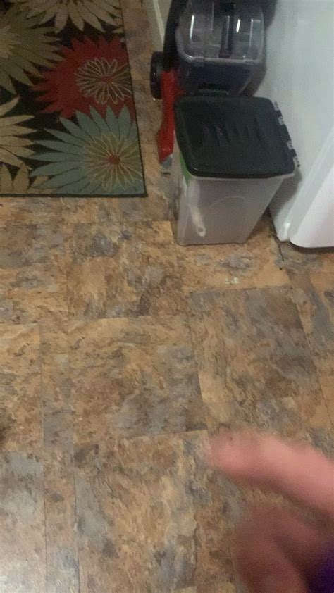 Image result for Chowder Ball