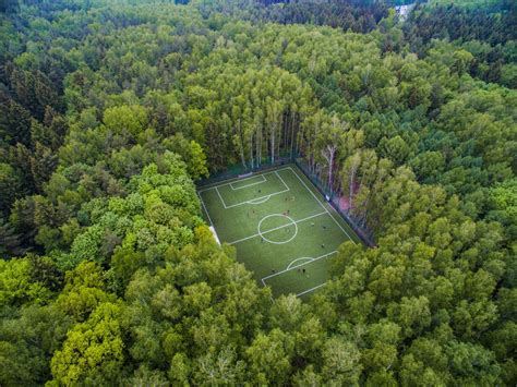 Sportsfield within Forest 的图像结果