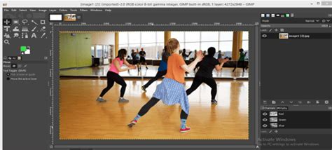 Using Layers to Color On GIMP 的图像结果