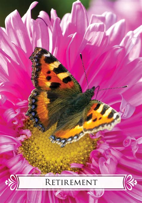 App Data Universe Retirees