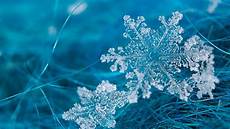 Snowflake Background Hd Free by 23 Snowflakes Wallpapers Snow Backgrounds Pictures Snowflake Background Hd Free