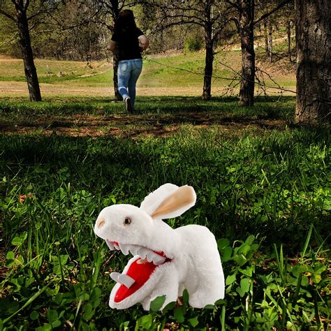 Image result for Monty Python Little Rabbit