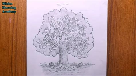 Image result for Simple Apple Tree Drawing