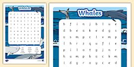 What are Whales? - Types of Whales - Twinkl