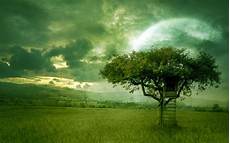 Wallpaper Laptop by Hd Wallpapers For Hp Laptop Wallpapers 2012 Desktop Wallpaper Laptop