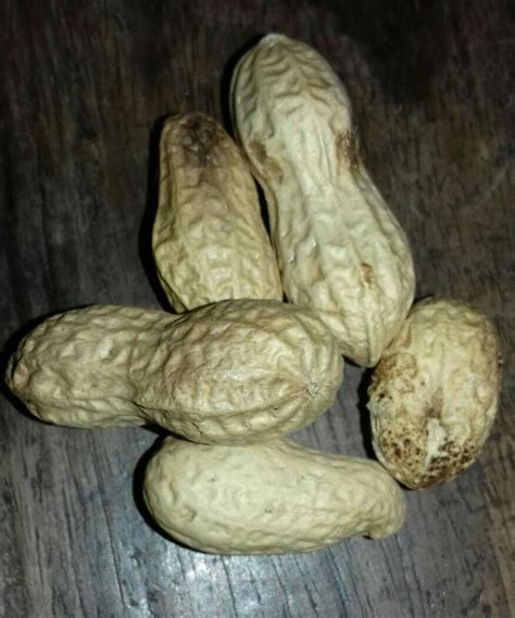 What is this colled in english - Brainly.in