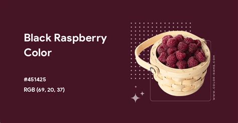 Image result for Dark Raspberry Color