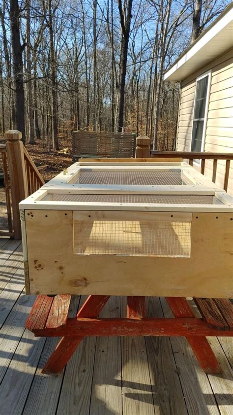 Image result for Brooder House Types