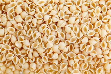 Image result for Types of Pasta Shells