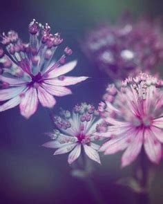 Image result for Practise HTML Code