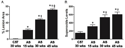 IJMS | Special Issue : Oxidative Stress in Cardiovascular Disease