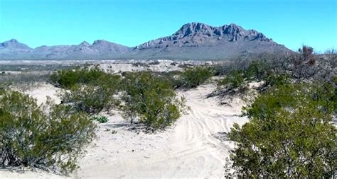Sand dunes of Arizona - Surf the Sand