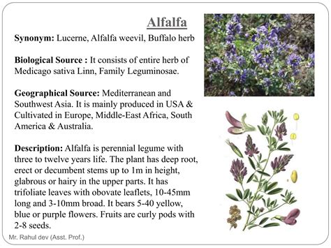 Herbs as Health Food, Herbal Drug Technology-6th semester.pptx