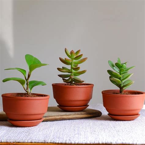 Shop Singer Anusha Mani's Home Decor Style | LBB