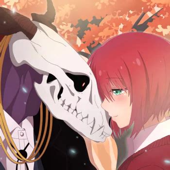 Image result for Ancient Magus Bride Chise PFP