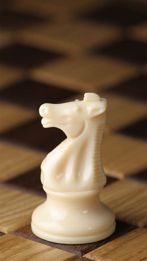 File:Chess piece - White knight.JPG - Wikipedia, the free encyclopedia
