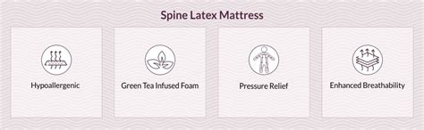 Amore Spine 100% Natural Pincore Latex & Green Tea Foam Orthopedic ...