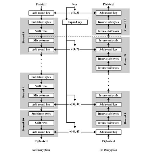 AES Encryption Decryption 的图像结果