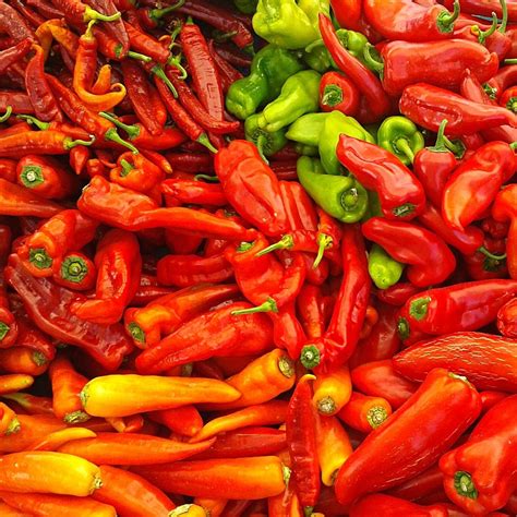 Cubanelle Pepper: Perfect for Making Stuffed Peppers