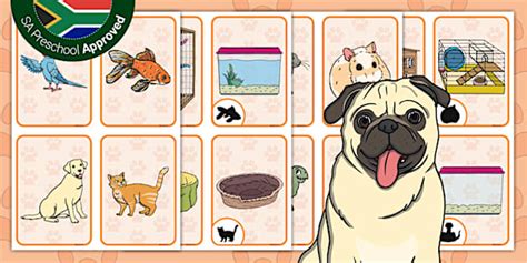 Preschool: Pets and Their Homes: Pairs Matching Cards