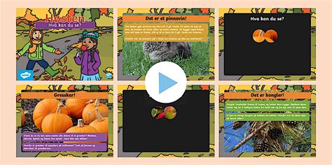 Høstaktivitet - Gjett høstbilder