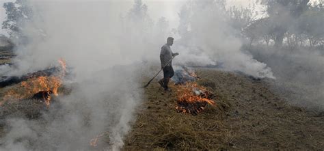 Farmers Near Delhi Quit Stubble Burning As Hazardous Smog Continues To ...