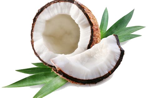 Coconut Hybridization Program 的图像结果