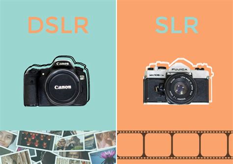Digital SLR Camera Types 的图像结果