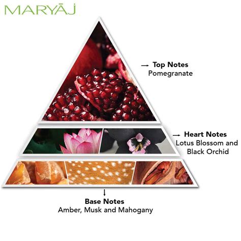 Buy MARYAJ M FOR HER EAU DEPERFUME 90ML FOR WOMEN AND AJMAL HOMME ...