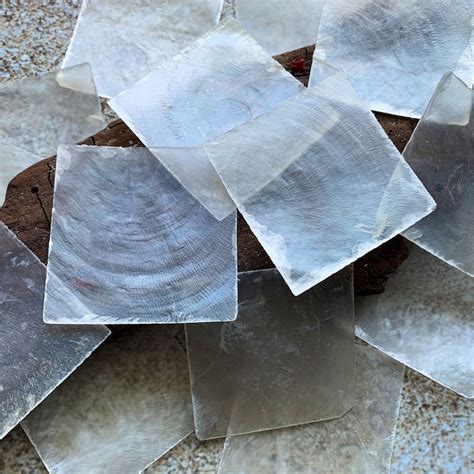 Image result for Capiz Shell Processing