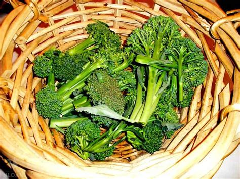 How To Clean Broccoli From The Garden | Fasci Garden
