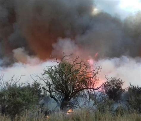 Los incendios arrasan más de 600.000 hectáreas en la pampa argentina ...