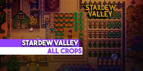 Summer Squash | Stardew Valley | Hardcore Gamer
