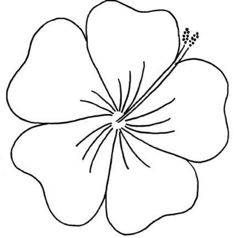 Pin af Mária Pál på Sablonok | Broderi, Blomster